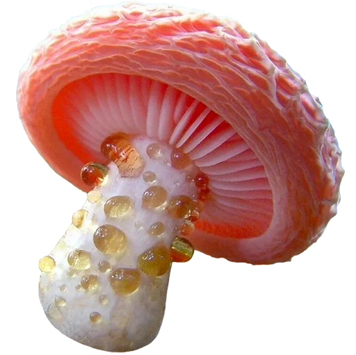 Эмодзи mushrooms