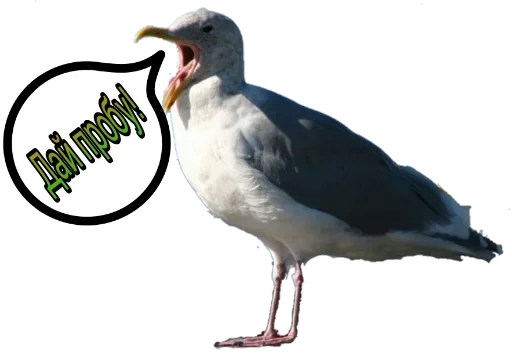 ?