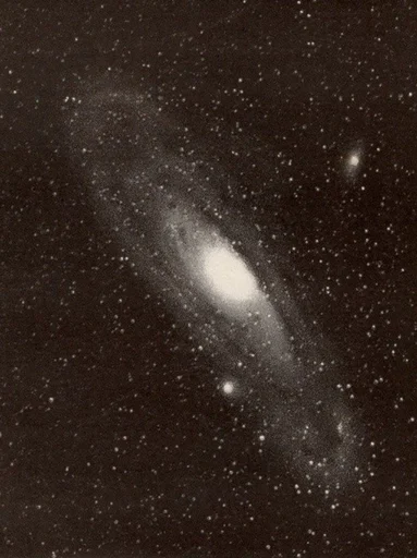 Эмодзи my muse