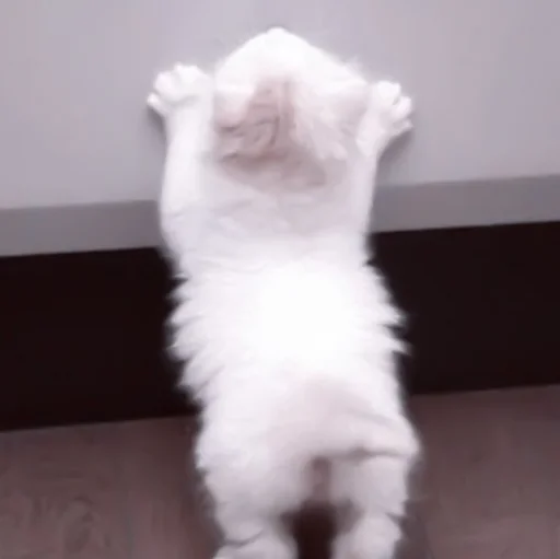 Эмодзи や ??????? ? ;: