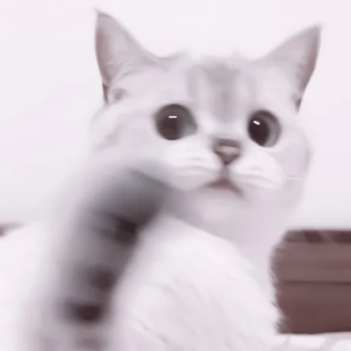 Эмодзи や ??????? ? ;: