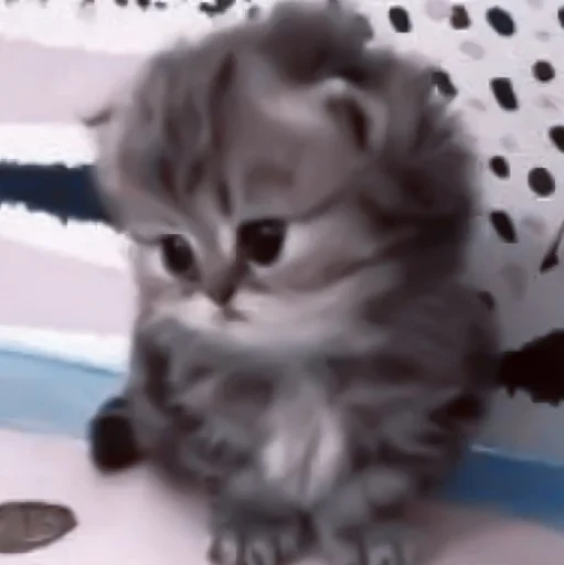 Эмодзи や ??????? ? ;: