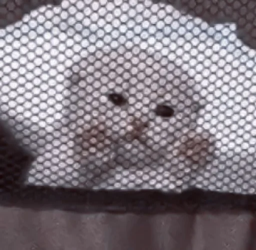 Эмодзи や ??????? ? ;: