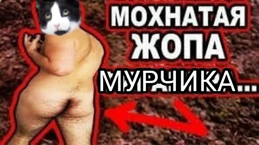 Эмодзи Мурчикостикеры