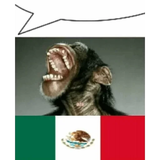 🇲🇽