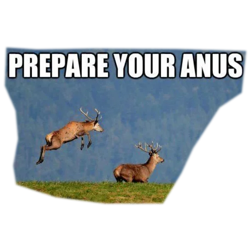 Эмодзи Наждачка вместо Туалетной Бумаги