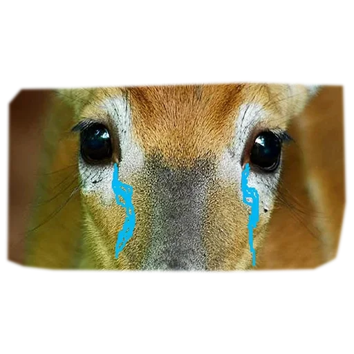 Эмодзи Наждачка вместо Туалетной Бумаги