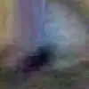 Эмодзи я тебя наебал