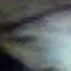 Эмодзи я тебя наебал