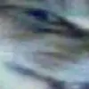 Эмодзи я тебя наебал