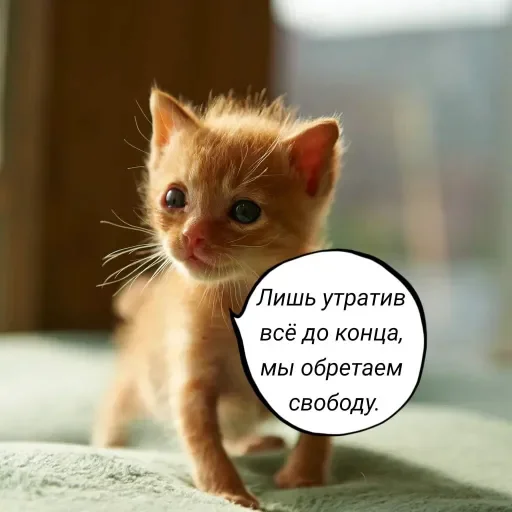 Эмодзи Голые бляди.