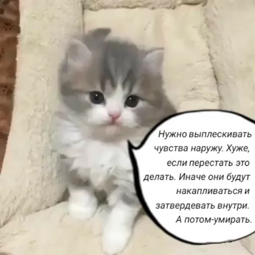 Эмодзи Голые бляди.