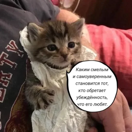 Эмодзи Голые бляди.