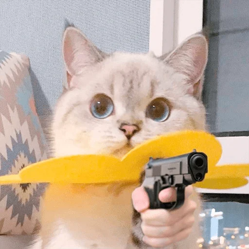 Эмодзи Nana the charming cat