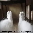 Эмодзи поч ты мне не пишешь?