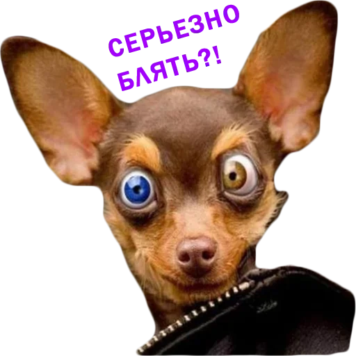 Эмодзи Stickers