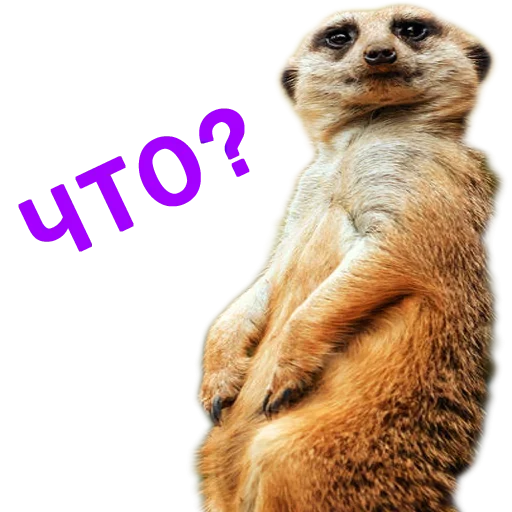 Эмодзи Stickers