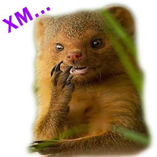 Эмодзи Stickers