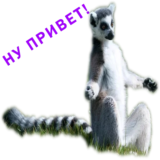 Эмодзи Stickers