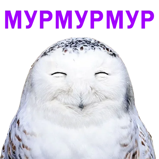 Эмодзи Stickers