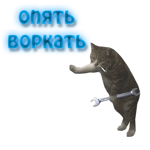 ?