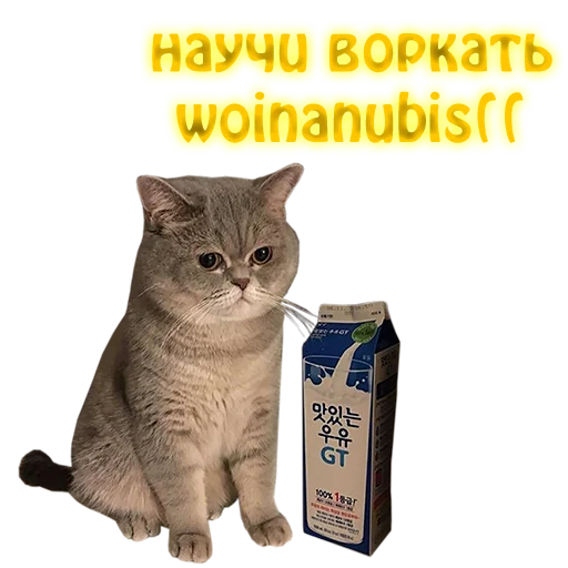 Эмодзи NelyubimovTeam