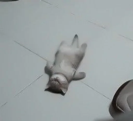 Эмодзи кошаки