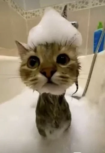 Эмодзи кошаки