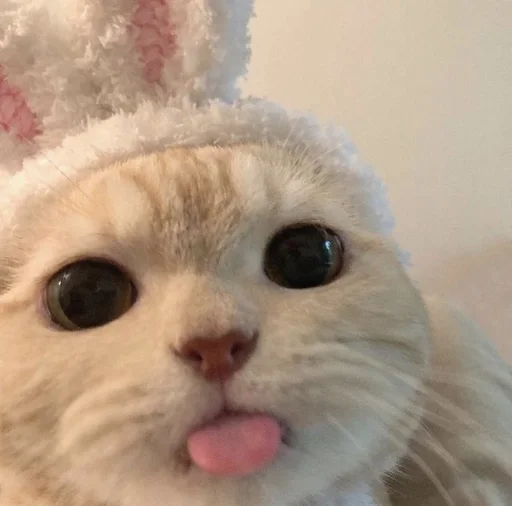 ?