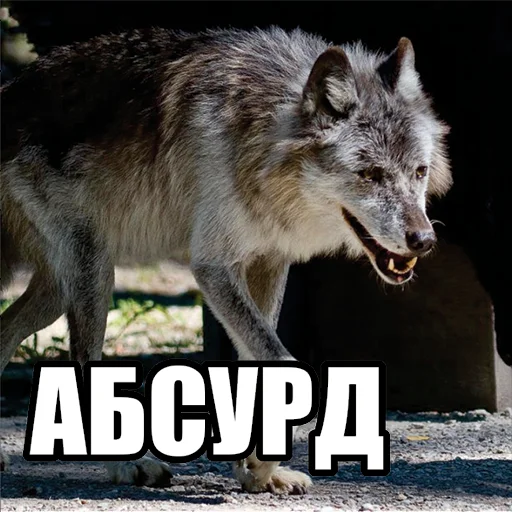 Эмодзи Волчьи мемы