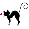 Эмодзи Black cat ✌️