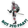 Эмодзи Наш Ак барс