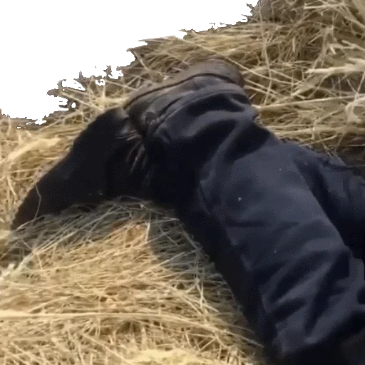 Эмодзи дядя женя