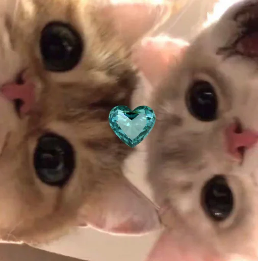 Эмодзи Котики