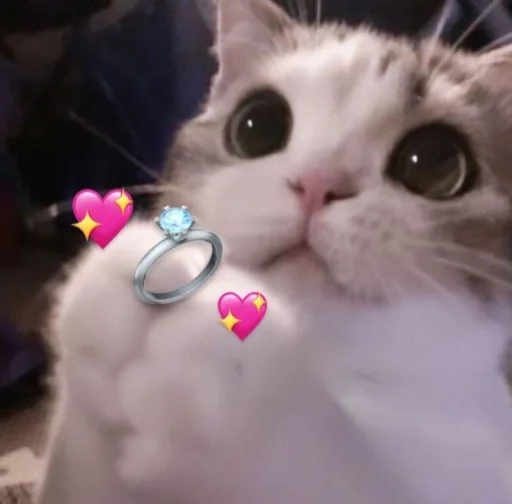 Эмодзи Котики