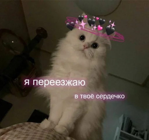 Эмодзи Котики