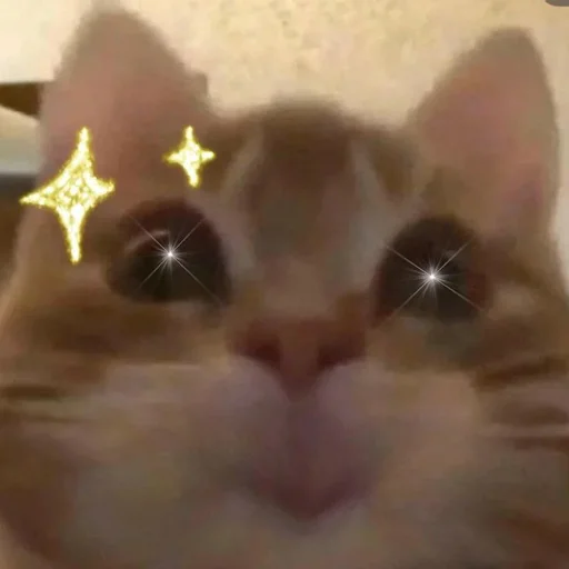 Эмодзи Cats | Котики