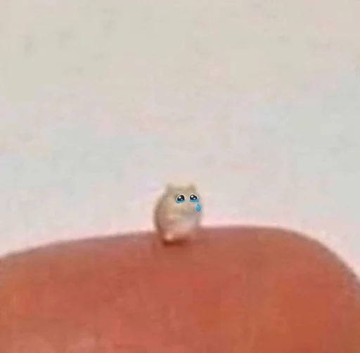 Эмодзи Cats | Котики