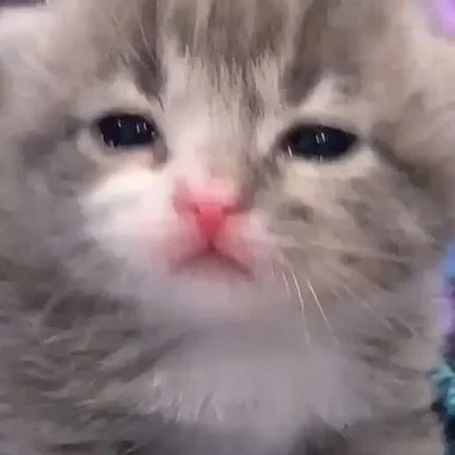 ?