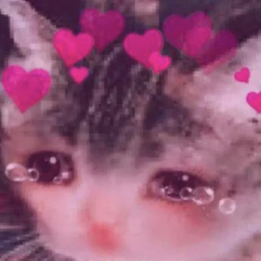 Эмодзи ОК МЕМ 2.0