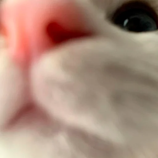 Эмодзи oaoaoaoaoaoaaoa