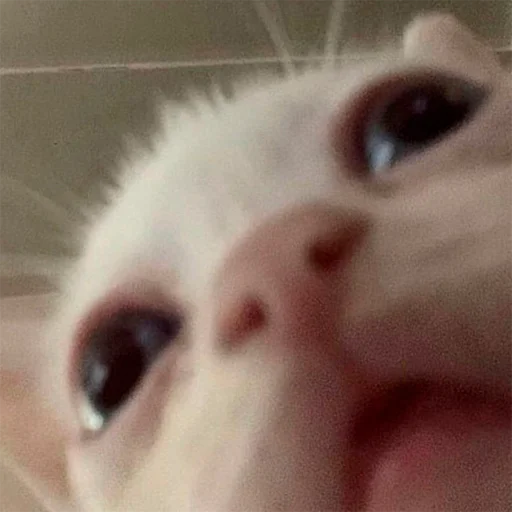 Эмодзи oaoaoaoaoaoaaoa