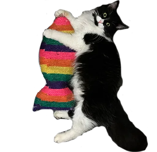 Эмодзи не кот а одни пакости