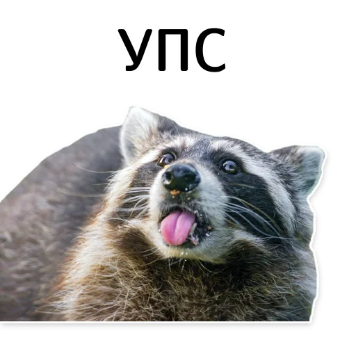 Эмодзи offensive_raccoons