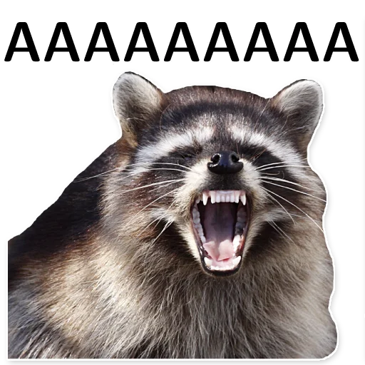 Эмодзи offensive_raccoons
