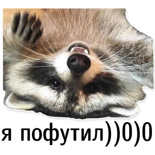 Эмодзи offensive_raccoons