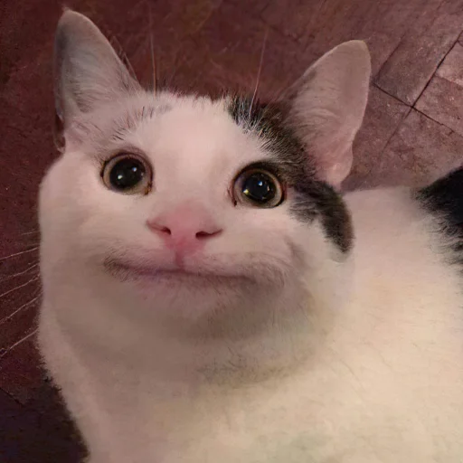 Эмодзи КОТЫ