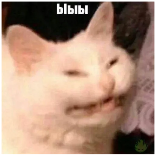 Эмодзи КОТЫ