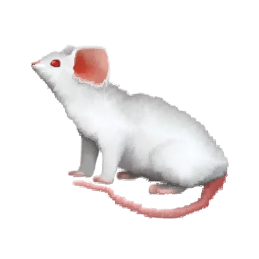 Эмодзи Oh no.. [Animal]