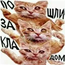 Эмодзи Отсос в рассрочку